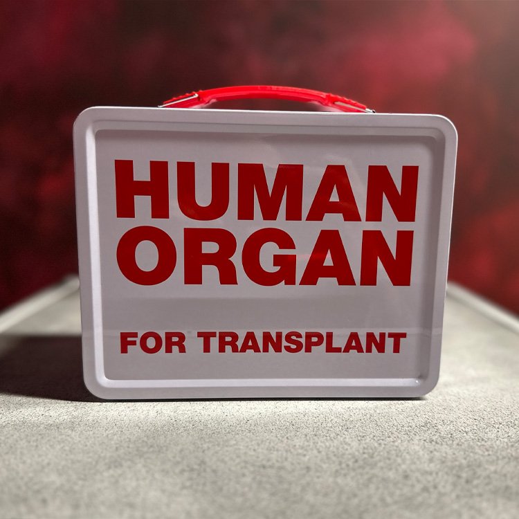 Human Organ Lunch Box