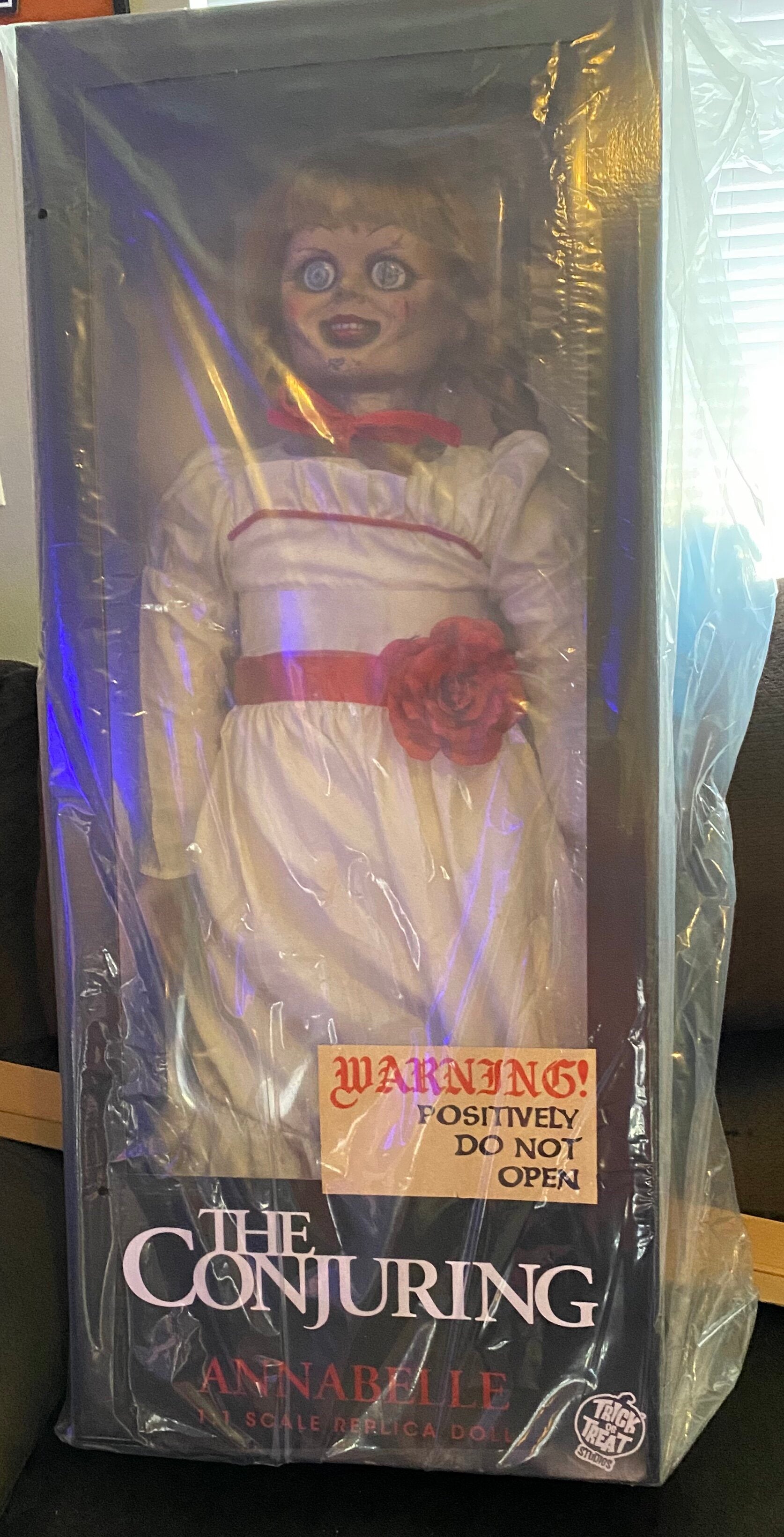 THE CONJURING ANNABELLE DOLL Terror 29