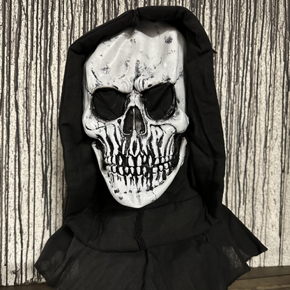 Adult Reaper Horror Mask with Black Shroud